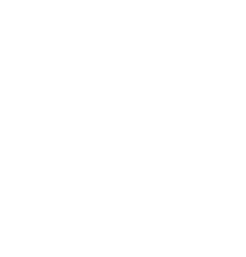 VORION